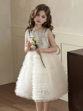 Girls' Fashionable Sequin & Mesh Patchwork Princess Dress With Wing Detail, Summer